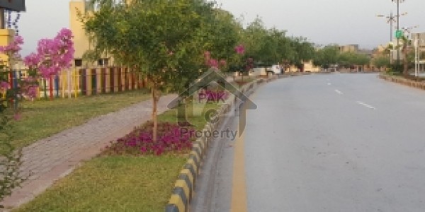 Plot Available For Sale At Investment Pries