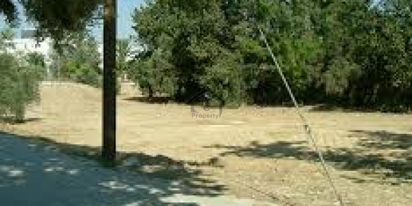 Residential Plot For Sale