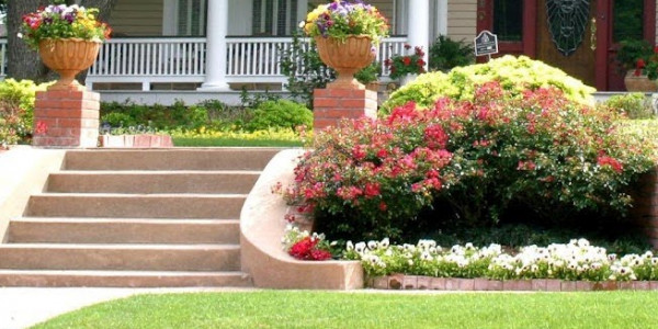 House Is Available For Rent