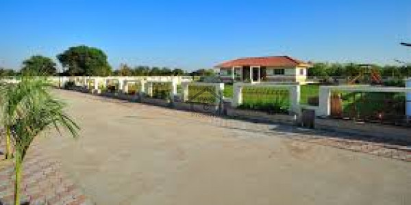 10 Marla Plot For Sale