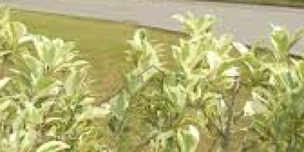 Plot For Sale Kanal Bahria Ph-3 Rawalpindi