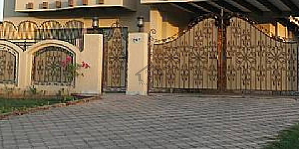 Ground Poshion For Rent