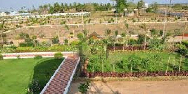 Only Invest in DHA Valley and get best return in shout time call me