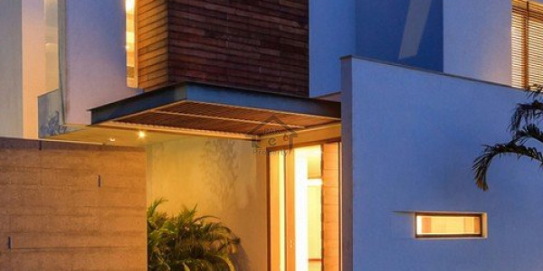 Fully Renovated House Available For Rent