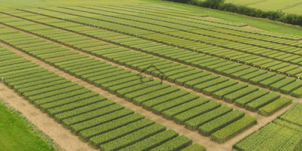 Residential Plot For Sale