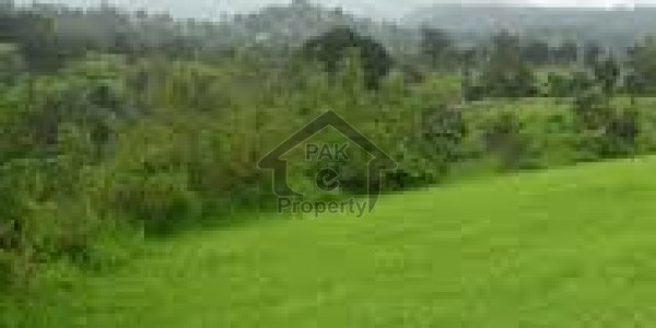 D-18 AWT Block D Size 71sqyds Mini Commercial By JANJUAS