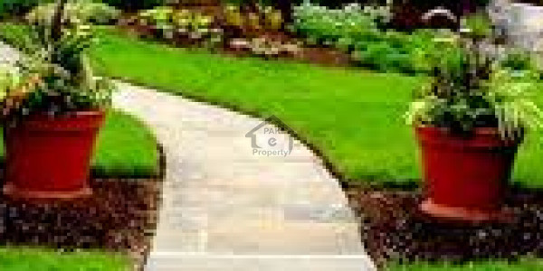 Basement Is Available For Rent