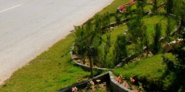 Plot Is Available For Sale