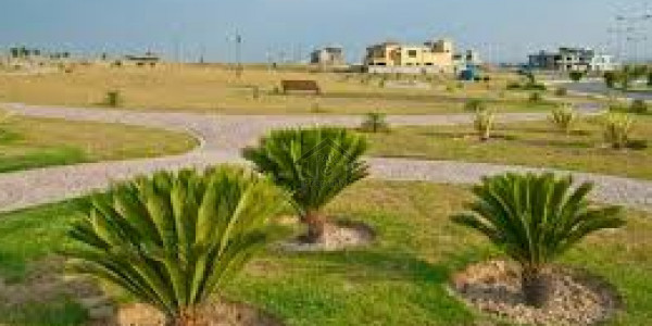 Exclusive For High Rise Project Commercial Plot For Sale