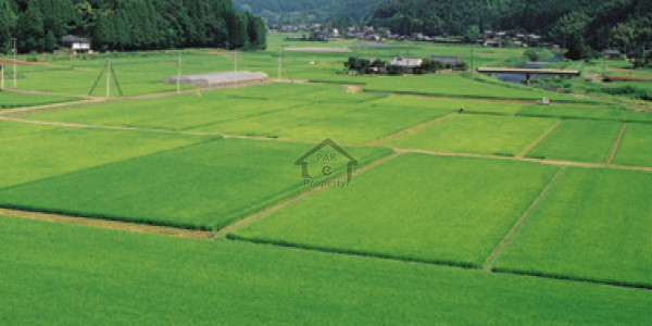 10 Marla Residential Plot For Sale