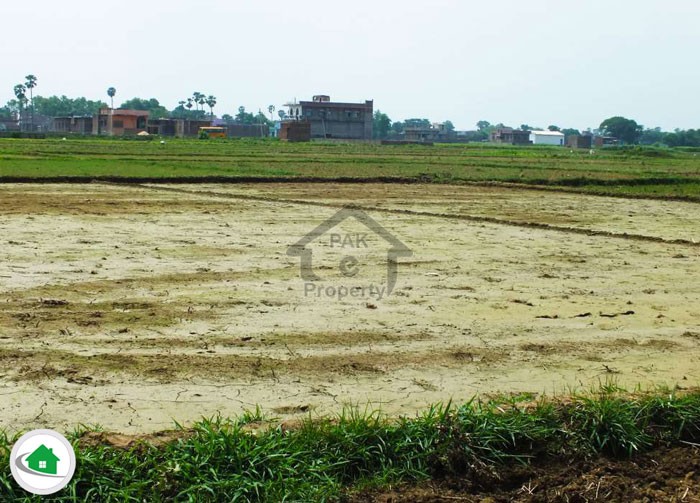 Residential Plot Available For Sale