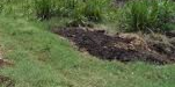 Residential Plot 1000 sqyds Phase 6 Dha Karachi