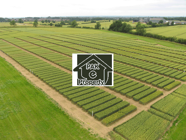 Orchard phase 8 bahria town 5 marla plot & 5 marla Pair