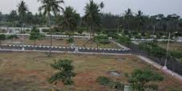 Pindi Face Plot 35x70