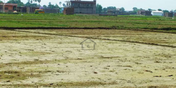 Plot Is Available For Sale