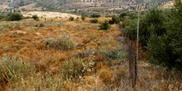 Residential Plot Is Available For Sale