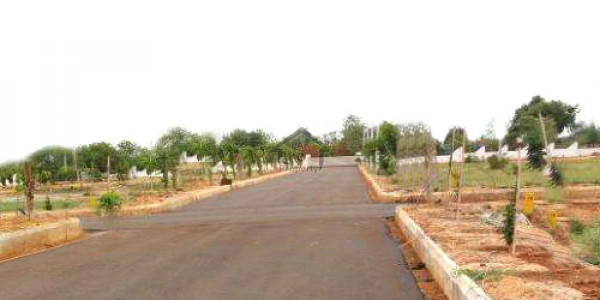 5 Marla Plot In On 25000 Monthly Installment