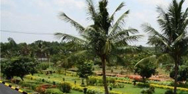 Sector O Boulevard Plot Available For Sale