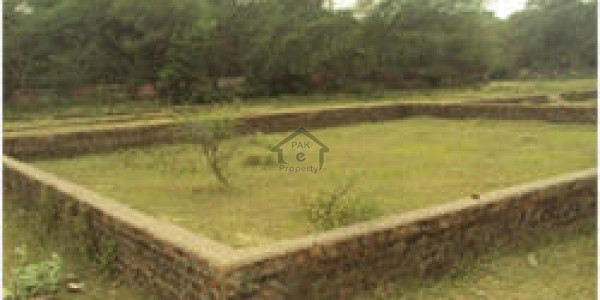 Plot Is Available For Sale