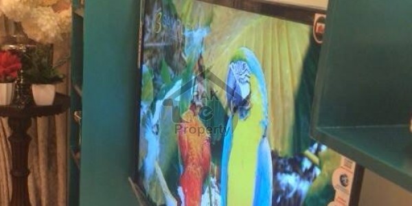 Askari 13/14-3,4,5 bedrooms houses for rent/disposal