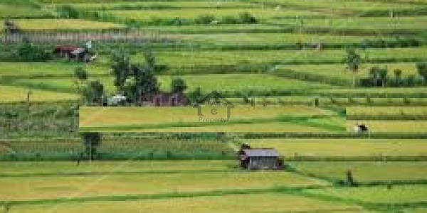 Plot No 252 Size 25x50 Omer Block Phase 7 Ghauri Town