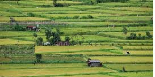 Residential Plot Is Available For Sale