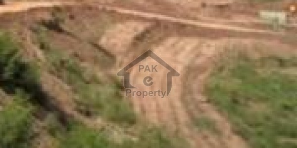 Media Town Block D - 40x70 Level Plot On Ideal Location At Reasonable Price Is Final No Bargain