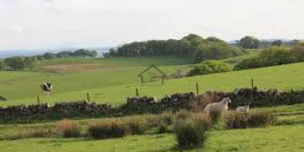 700 Kanal Residential Land For Sale At Murree Expressway