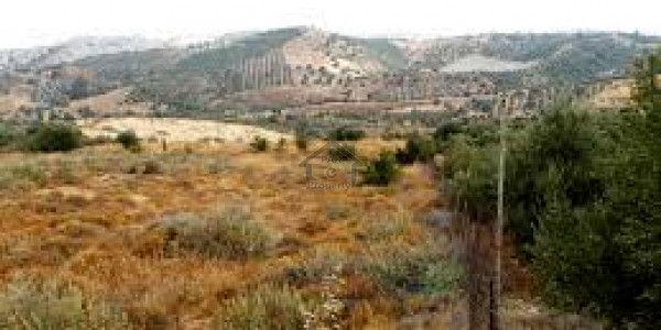 Good Location 10 Marla Plot For Sale