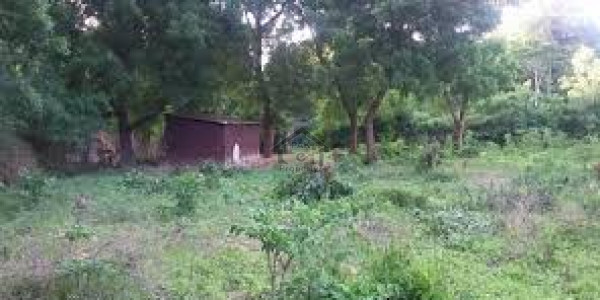 Residential Plot For Sale