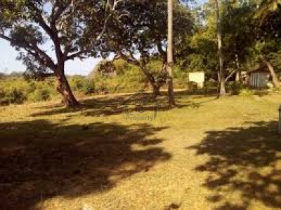 Residential Plot For Sale