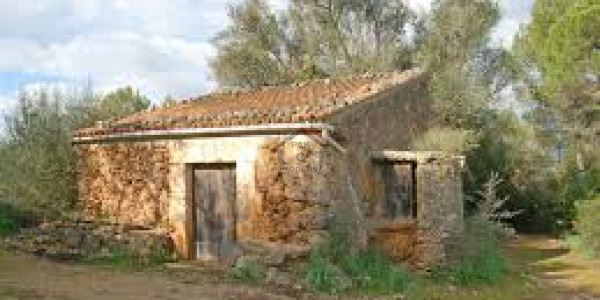 Residential Plot For Sale