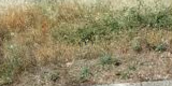 Plot Is Available For Sale