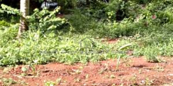 Residential Plot On 50 Feet Road For Sale Sun Facing & Level Plot