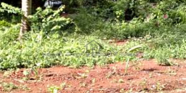 Residential Plot Is Available For Sale