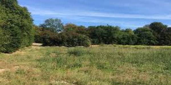 Residential Plot Is Available For Sale