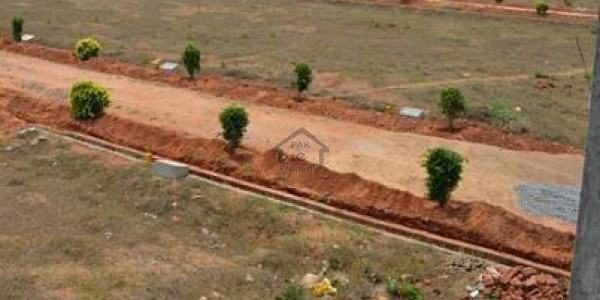 12 Marla Plot In Sector A