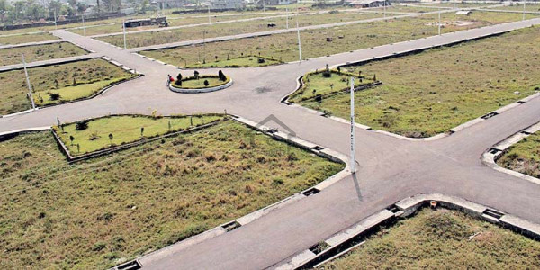 8 Kanal Farm House For Sale Less Than Market Rate