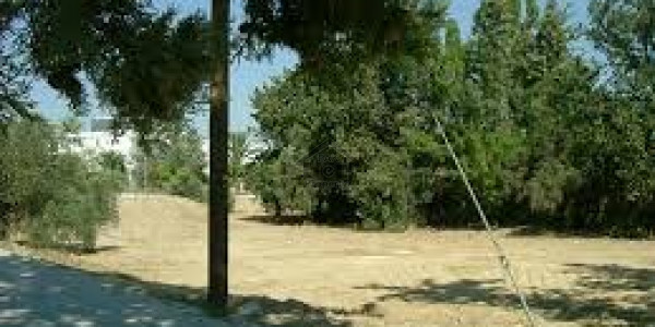 20 Kanal Investor Rate Boulevard Farm House Plot