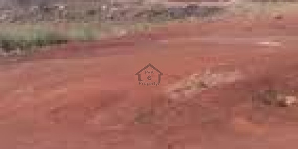 5 Kanal Farm House In Sector C