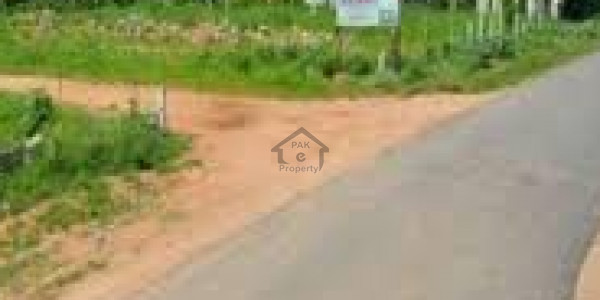 I-10/1 Golden Chance Plot 25x40