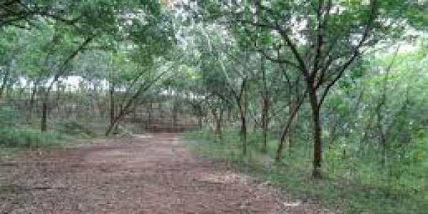 10 Marla For Sale In E-16/3 Islamabad