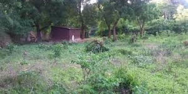 D 17 MvHs Islamabad Pakistan