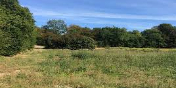 Residential Plot Is Available For Sale