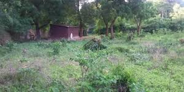Residential Plot Is Available For Sale
