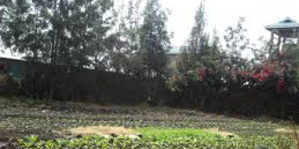 Residential Plot Is Available For Sale