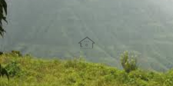 Residential Plot Is Available For Sale