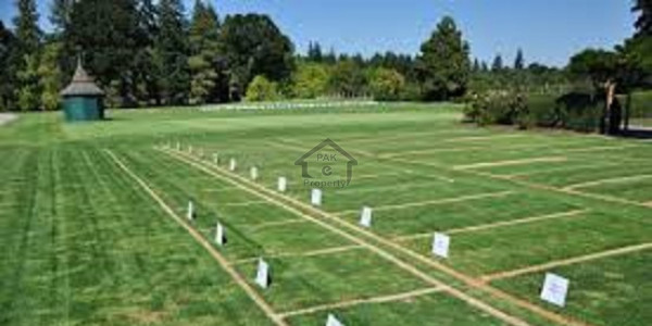 Residential Plot Is Available For Sale