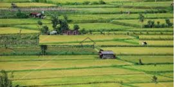 25x60 Residential Plot For Sale In I-11/2