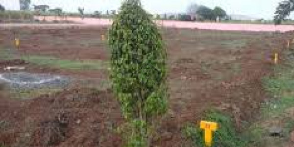 Residential Plot For Sale In I152